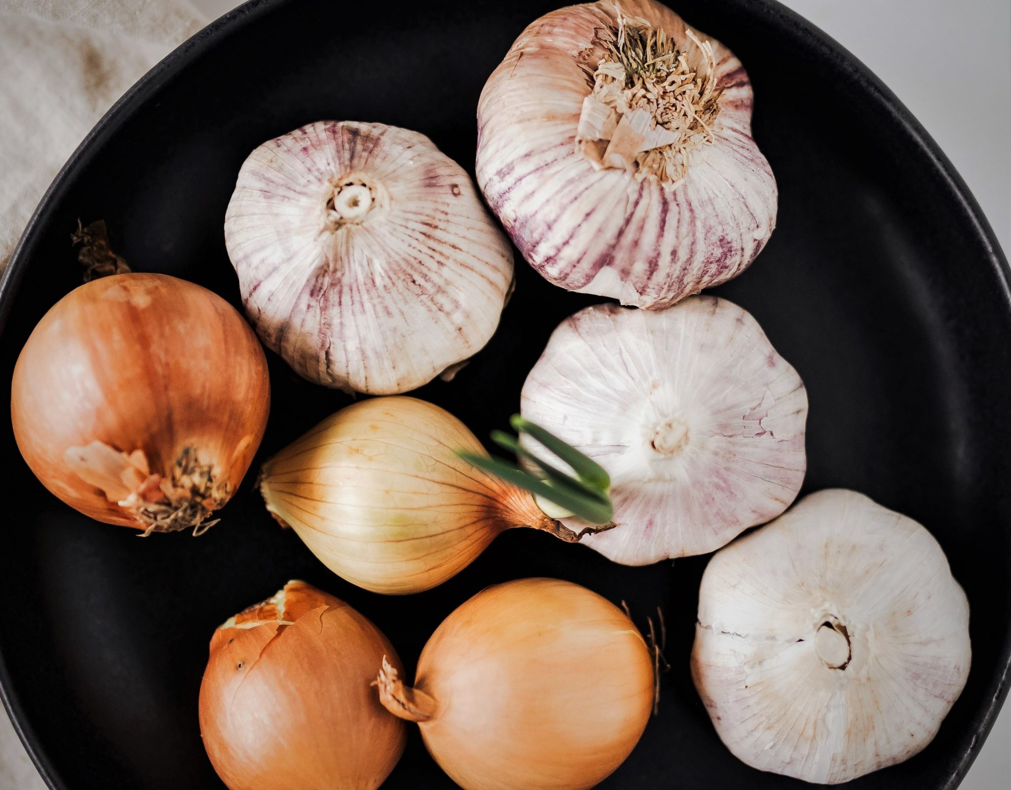 Products BCFoods Europe